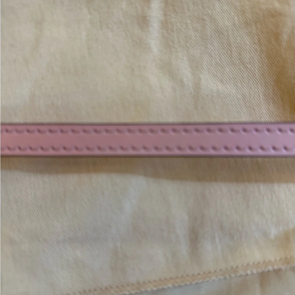 Louis Vuitton Louise Rose Pink Epi Leather Clutch with Chain - Picture 10 of 10